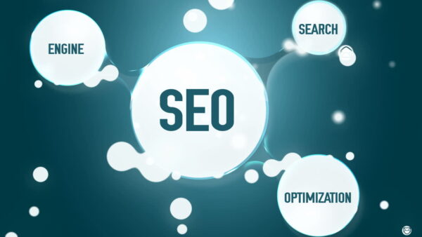 The Best SEO Services for Local Develop with the Egochi Miami SEO Agency! 